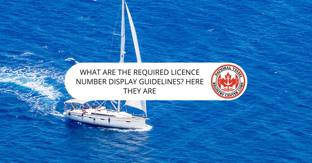 What are the required licence number display guidelines